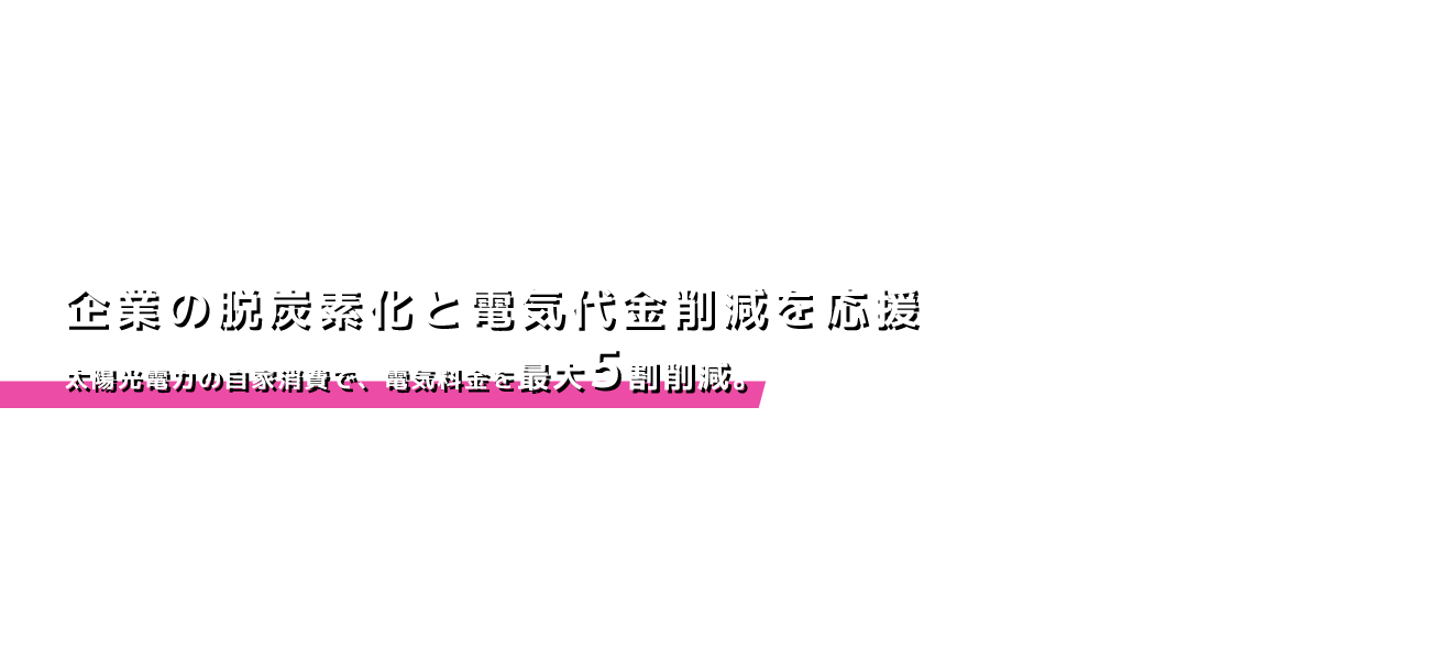 株式会社ティーエスピー