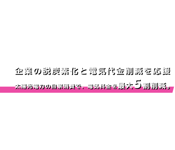 株式会社ティーエスピー